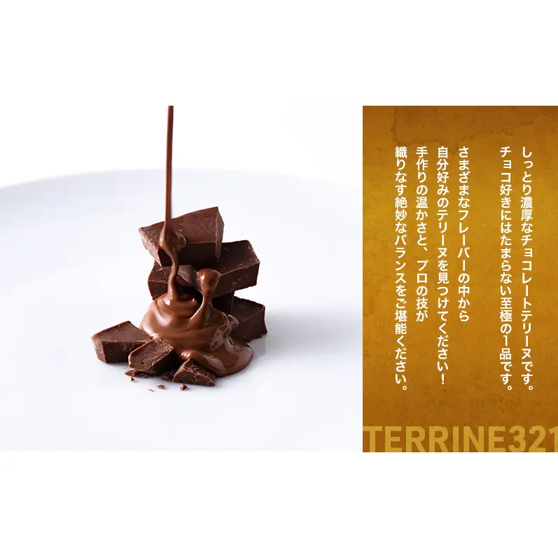 チョコレートテリーヌ40g×3 お菓子 洋菓子 スイーツ おやつ チョコレート チョコ テリーヌ 贈り物 ギフト ご褒美 