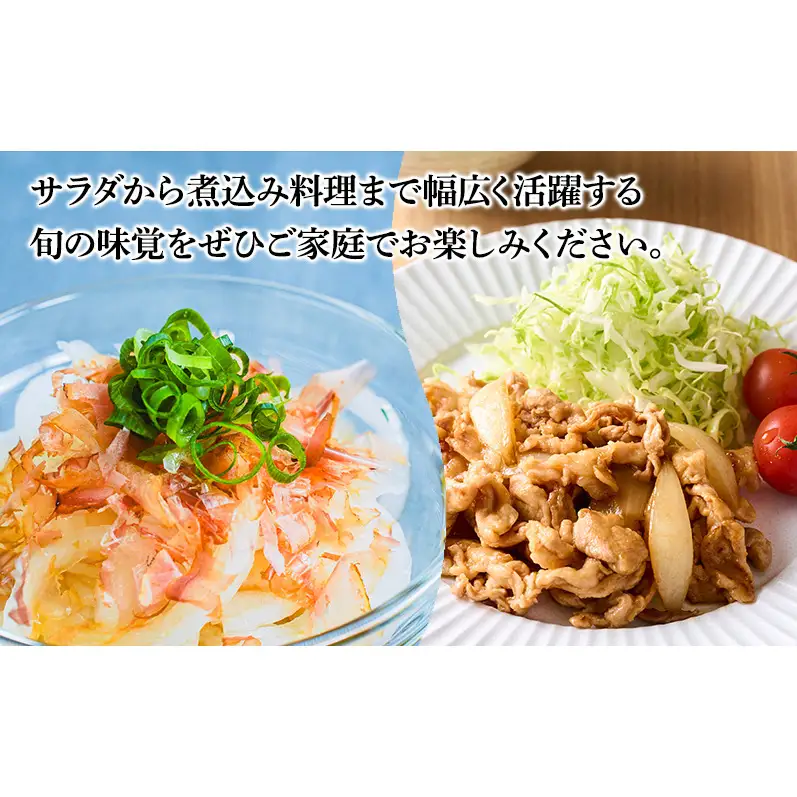 玉ねぎ10kg 野菜 玉葱 たまねぎ 泉州玉ねぎ 旬 旬の味覚 サラダ 料理 岸和田 岸和田市
