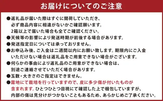 【先行受付】 特別栽培みかん（早生） 10kg サイズミックス 早生みかん 温州みかん みかん ミカン 蜜柑 フルーツ 柑橘 果物 果実 熊本県 上天草市【2026年11月上旬から12月上旬発送開始】