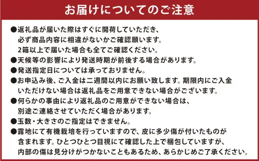 【先行受付】 特別栽培みかん 5kg サイズミックス 温州みかん みかん ミカン 蜜柑 フルーツ 柑橘 果物 果実 熊本県 上天草市【2026年12月下旬から2027年1月下旬発送開始】