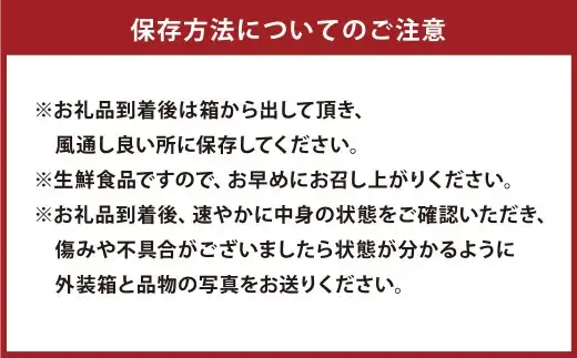 【先行受付】特別栽培スイートスプリング 10kg サイズミックス スイートスプリング みかん フルーツ 果物 果実 特別栽培 九州 熊本県産【2026年12月下旬から2027年2月上旬発送予定】