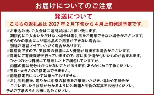 【先行受付】特別栽培パール柑（天草文旦） 7kg サイズミックス パール柑 天草文旦 柑橘 果物 フルーツ 熊本県産【2027年2月下旬から4月上旬発送開始】