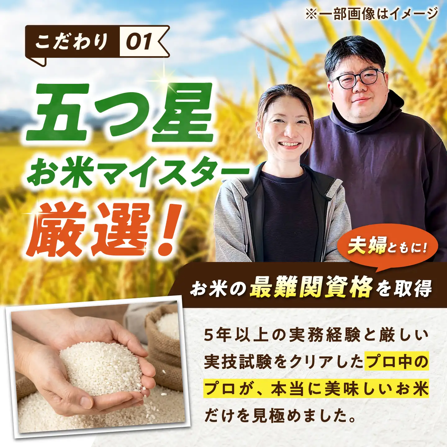 【12回定期便】 無洗米 毎月 5kg （さがびより・夢しずく交互お届け） 無洗米 お米 白米 精米 佐賀県産 米 /大塚米穀店[UFE022]