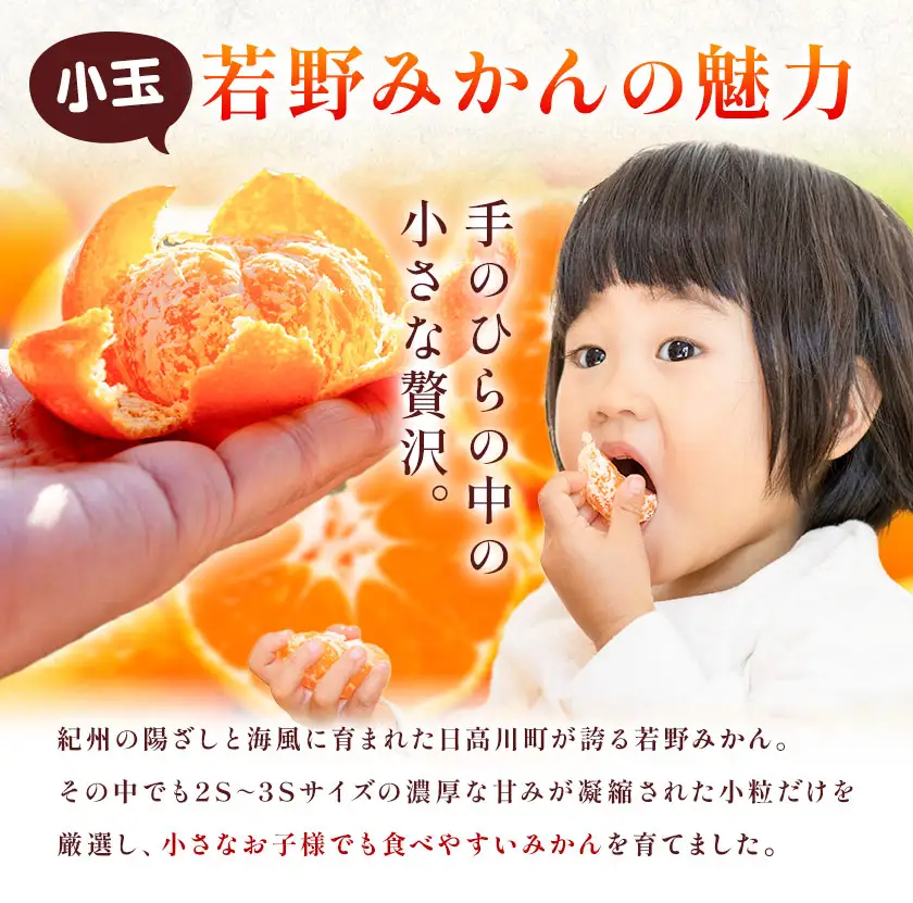 訳あり 小玉若野みかん (2S-3Sサイズ)  約3kg マルエイ農園
