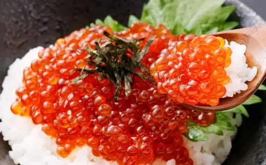 【 14営業日以内に発送 】 マスいくら 醤油漬け 500g （ 250g × 2パック ） いくら いくら醤油漬け 鱒卵 新鮮 海鮮 卵 魚介類 魚介 海鮮 冷凍 魚卵 ご飯のお供