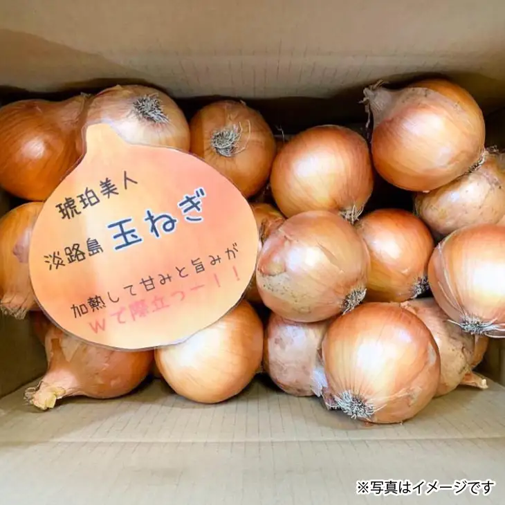 淡路島極熟玉葱　シャーロットオニオン【10kg】　玉ねぎ大国淡路島からの玉ねぎ