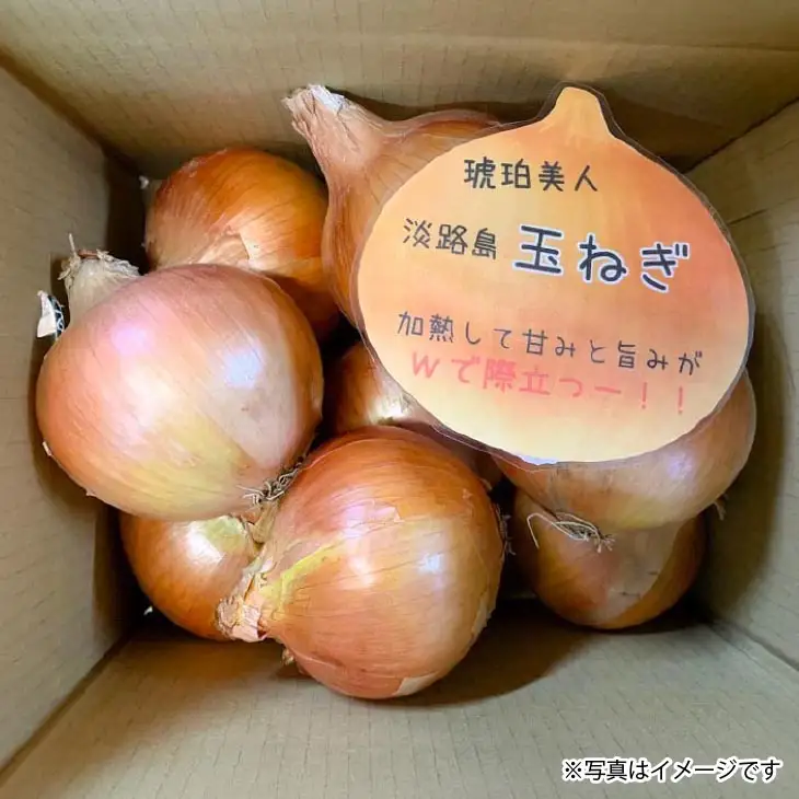 淡路島極熟玉葱　シャーロットオニオン【2kg】　玉ねぎ大国淡路島からの玉ねぎ