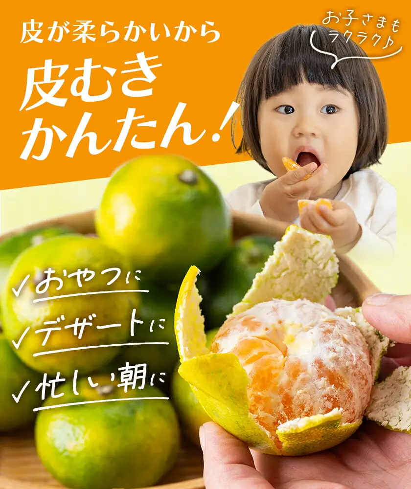 早生みかん 約5kg 農園誉 みかん