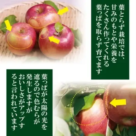 青森県産りんご100%使用 葉とらずりんごジュース「葉乃果」 (1000ml)×6本【1741600】