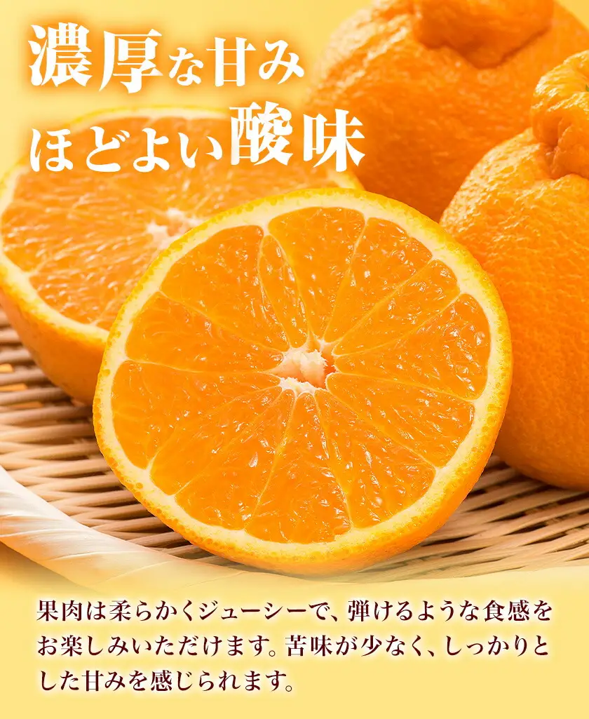 不知火 秀品 約2kg 20玉前後 農園誉 しらぬい