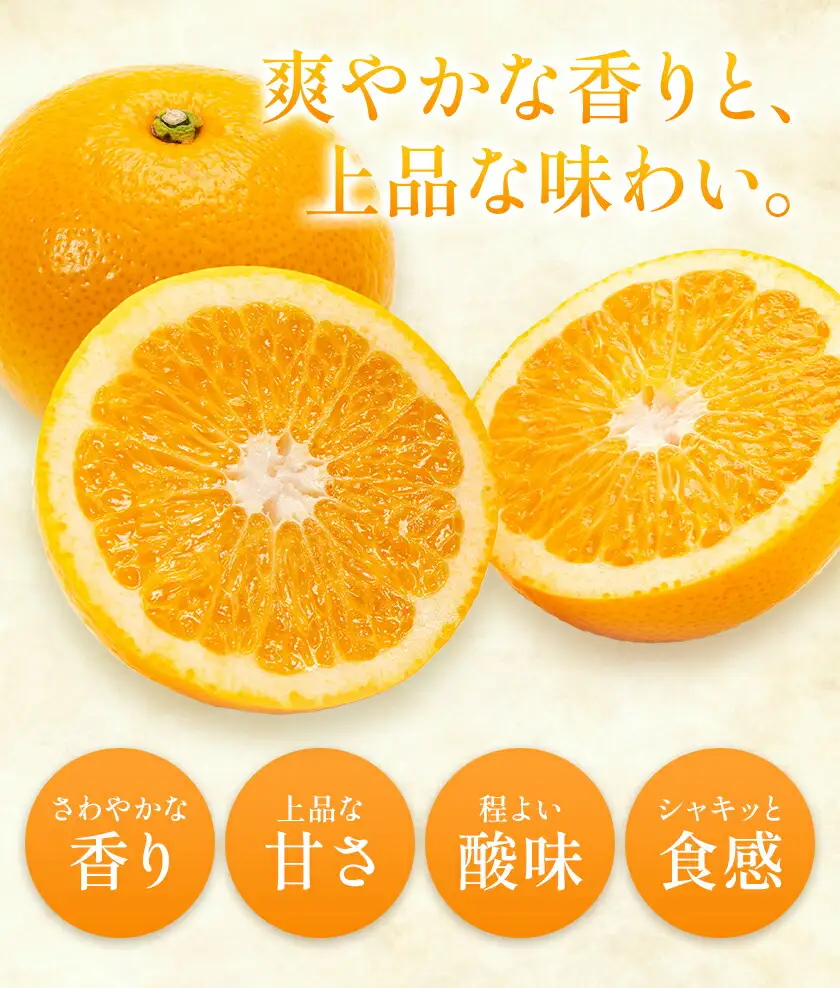 八朔 約10kg (約30玉前後) 農園誉 はっさく