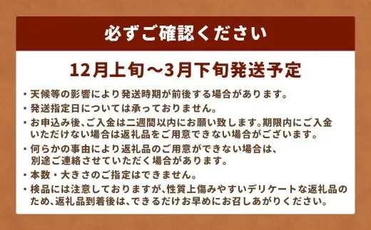 鹿児島県産 洗い【太い】 ごぼう 約5kg 【規格外・訳あり品】【2026年12月上旬-3月下旬発送予定】 AS-4115