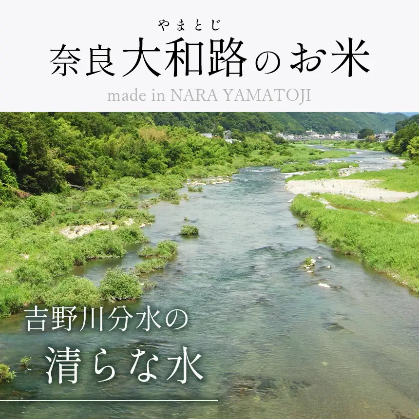 【定期便3回】 奈良大和路 ひのひかり 白米 5kg 【令和7年産】 | コメ 米 こめ お米 おこめ オコメ ひのひかり おにぎり 白米 無洗米 おにぎり | 奈良県 五條市