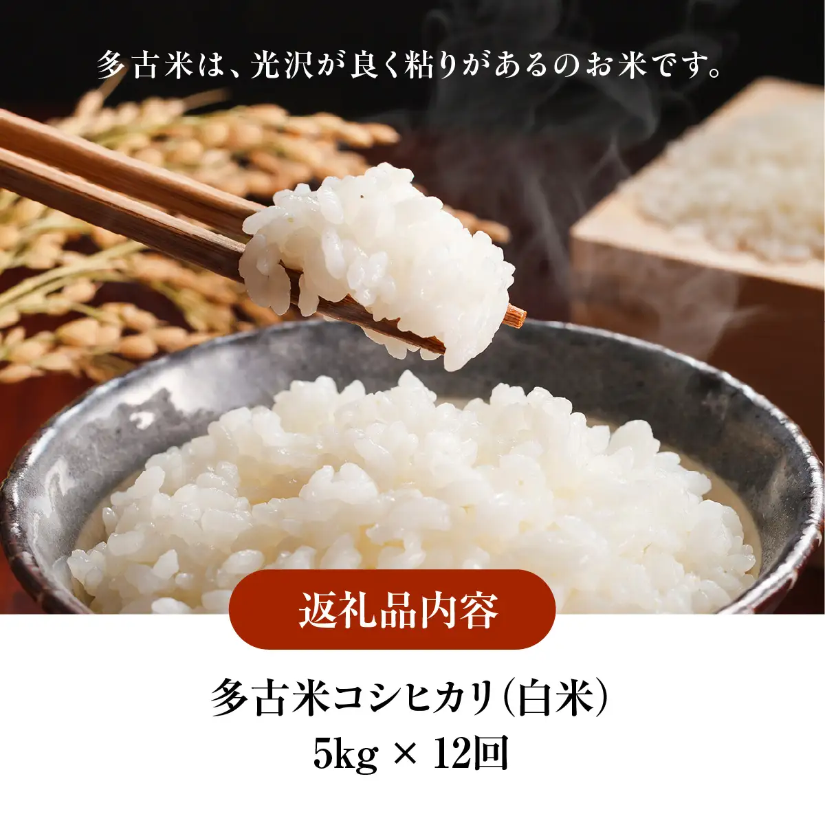 【定期便】化学肥料一切不使用！特別栽培米多古米「コシヒカリ」白米5kgx12回   TAKJ006 ／ふるさと納税 多古米 コシヒカリ 白米 玄米 5㎏ 化学肥料不使用 定期便  千葉県産 多古町 送料無料