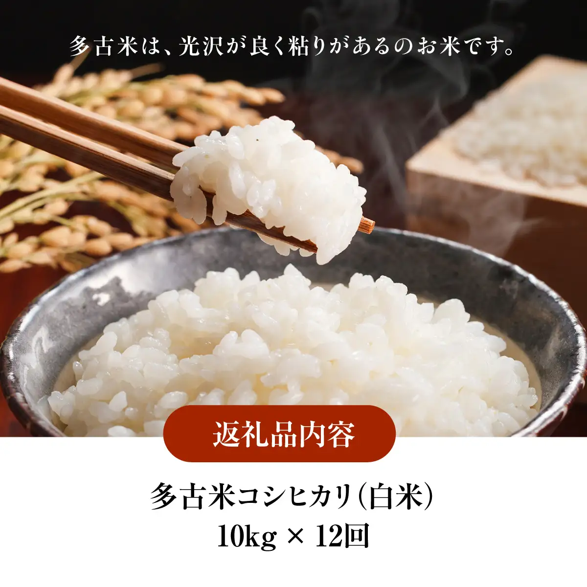 【定期便】化学肥料一切不使用！特別栽培米多古米「コシヒカリ」白米10kgx12回　TAKJ007／ふるさと納税 多古米 コシヒカリ 白米 玄米 10㎏ 化学肥料不使用 定期便  千葉県産 多古町 送料無料
