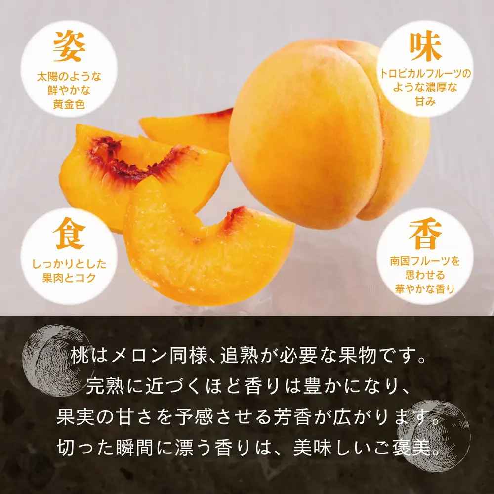 晴れの国　おかやまの白桃＆黄金桃食べ比べ６玉　＜先行受付：2026年8月下旬～発送＞