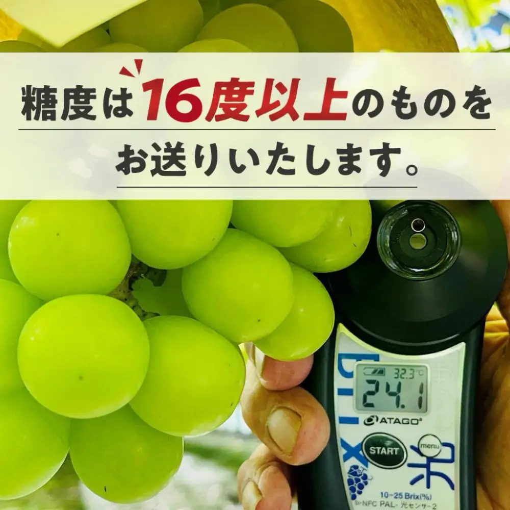 ぶどう2026年  シャインマスカット 小分け 秀品 粒だけ 約170g 12パック岡山  果物 フルーツ  7月上旬から発送