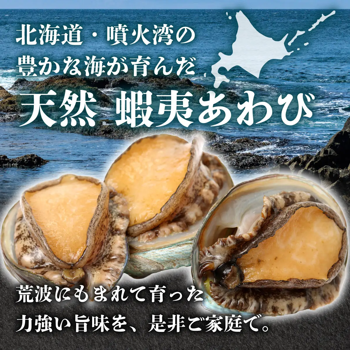 天然 蝦夷あわび 計1kg 【mh-0909】