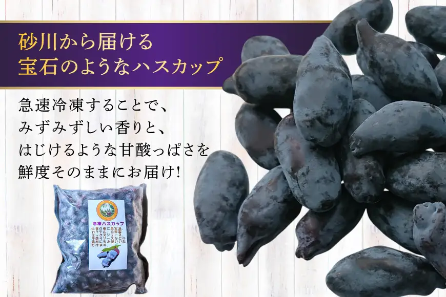 ハスカップ 冷凍 500g × 2 計 1kg