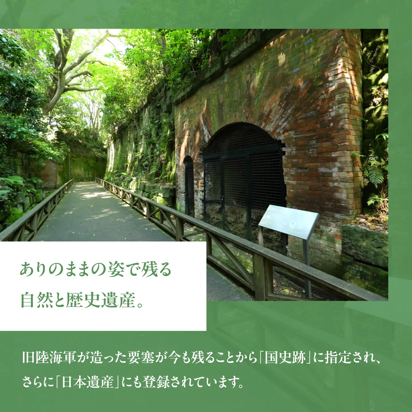 無人島・猿島航路の往復乗船券（ペア）【株式会社トライアングル】[AKFY002]