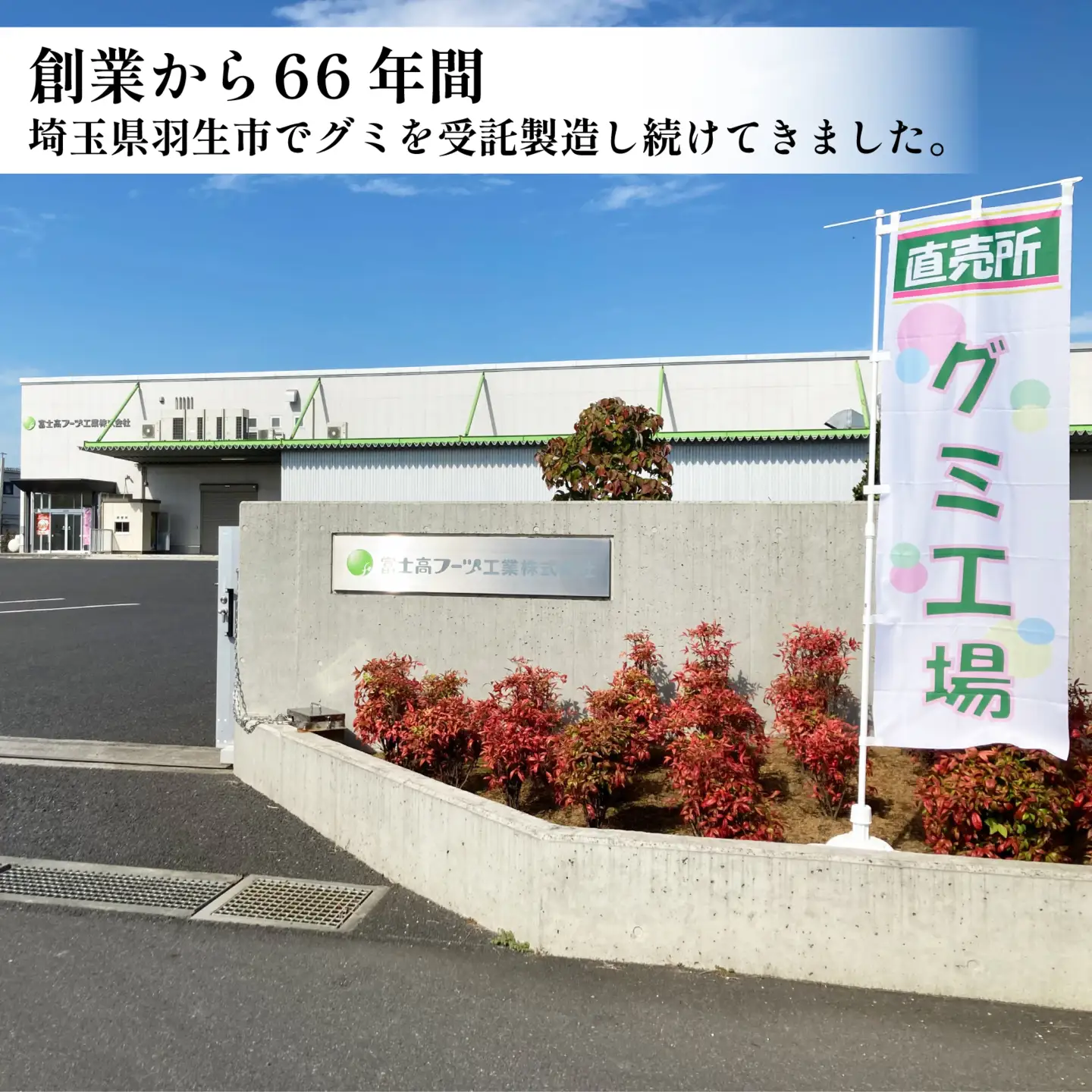 【グミ】訳あり グミ みかん味 6kg 約1500粒 