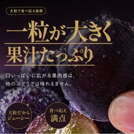 星乃ピオーネ 3房～5房(2kg以上)【配送不可地域：離島・北海道・沖縄県】【1740015】