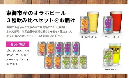 【2回定期便】シャインマスカットと地ビールの人気セット（シャインマスカット2房1.1kg以上とクラフトビール飲み比べ（3種10本））｜【JA信州うえだ／オラホビール】ぶどう 葡萄 大粒 果物 フルーツ 生食／ゴールデンエール・アンバーエール・ヌーベルセゾン 地ビール 頒布会 長野