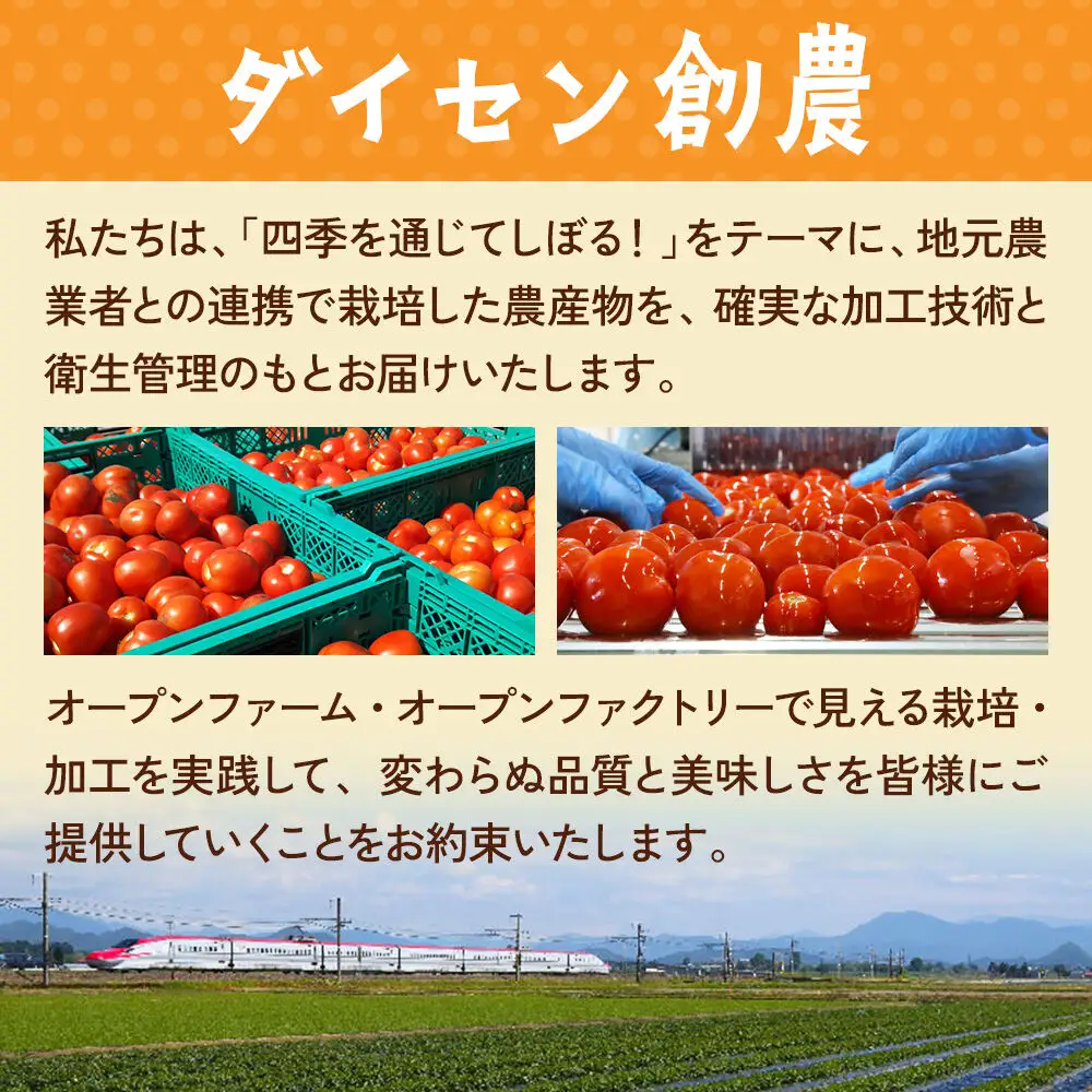 乳酸菌入り濃縮トマト飲料「極　KIWAMI」150g×10個入