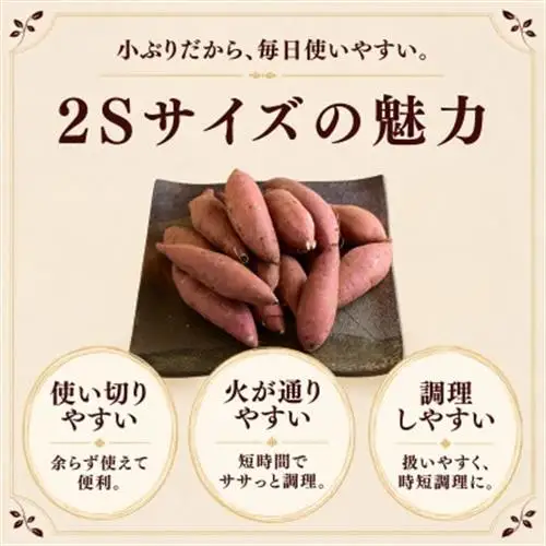 産地直送!生さつまいも「熟成紅はるか」調理しやすい小さめサイズ5kg【1748778】