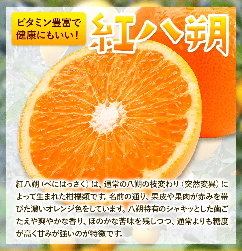 紅八朔 厳選 Lサイズ 約10kg GOGO農園 八朔
