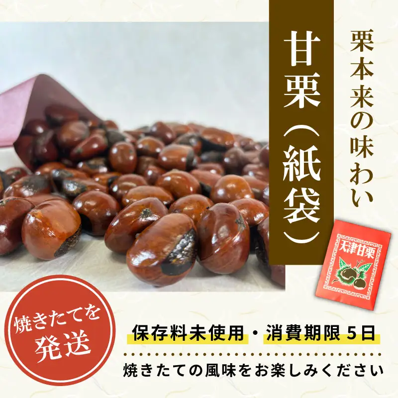 天津甘栗 1kg 甘栗 焼きたて 焼栗 