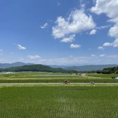 [八ヶ岳泉野]ツキノキマルシェのハチミツセット「アカシアと百花」八ヶ岳西麓の希少品【1745834】