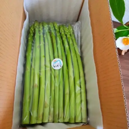 夏芽:ジューシー柔らかアスパラガス!長野県飯島町産(1kg)【配送不可地域：離島・北海道・沖縄県・中国・四国・九州】【1731403】