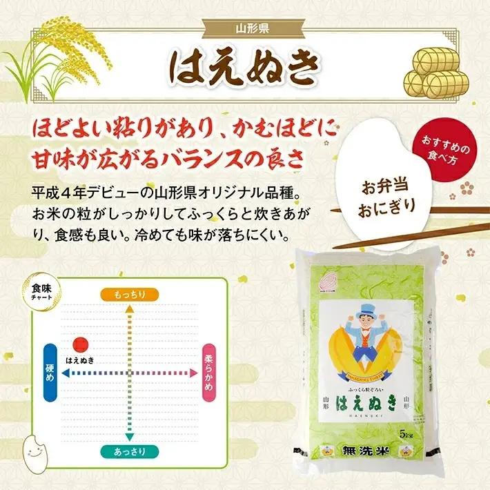 SP0018　7月下旬発送開始／【12回定期便】無洗米 はえぬき　5kg×12回(計60kg) TO