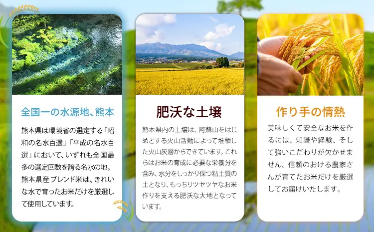【12ヶ月定期便】熊本県産 肥後清流米 無洗米 2kg《お申込み翌月から出荷》ふるさとのうぜい 米 コメ