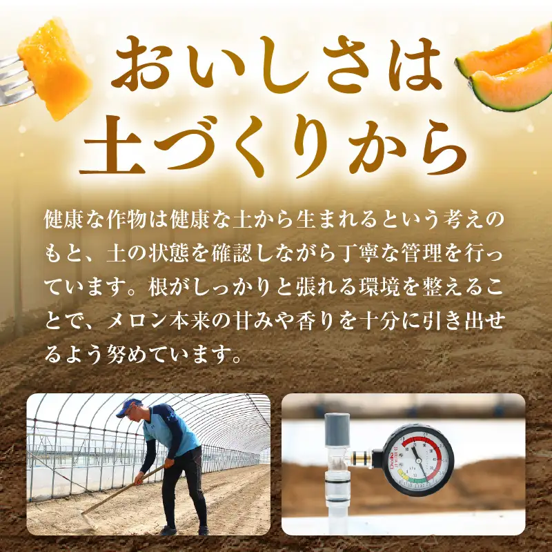 【先行予約】藤重農園自慢のマルセイユメロン 2～3玉（合計約3kg）※2027年6月中旬以降順次発送 [aw083-a005]