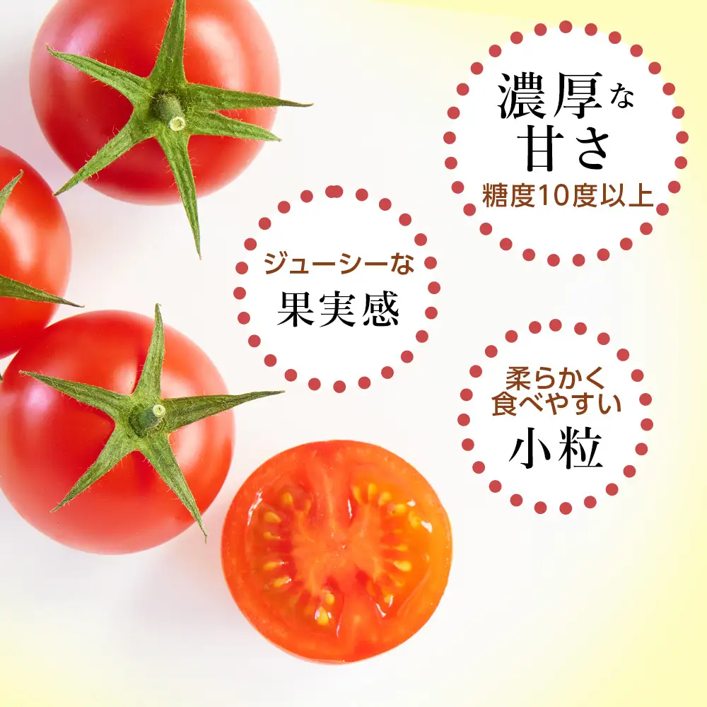 先行受付〈100％有機肥料使用〉積丹産ミニトマト「キャロル7」たっぷり1kg