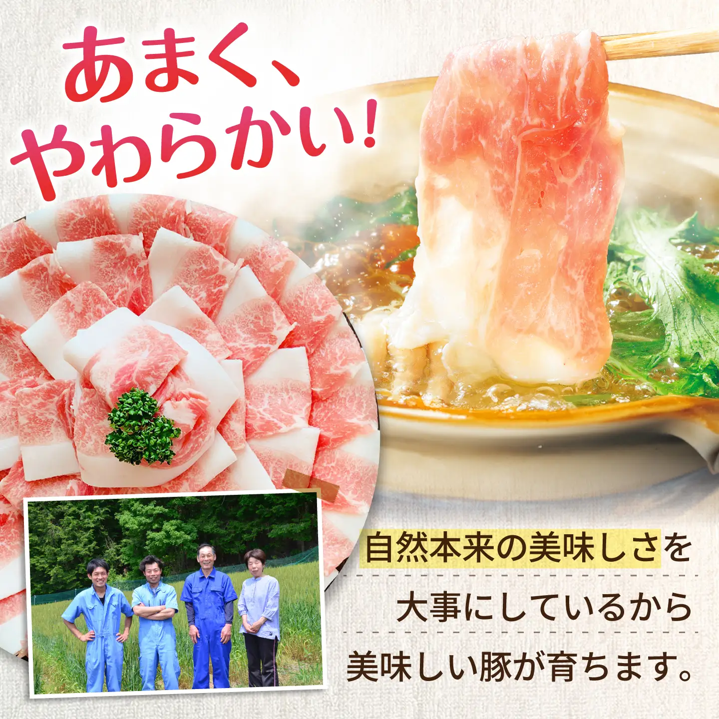 豚肉 バラエティセット 5種 計1.9kg 藤井ファーム[AWAF106]豚肉セット