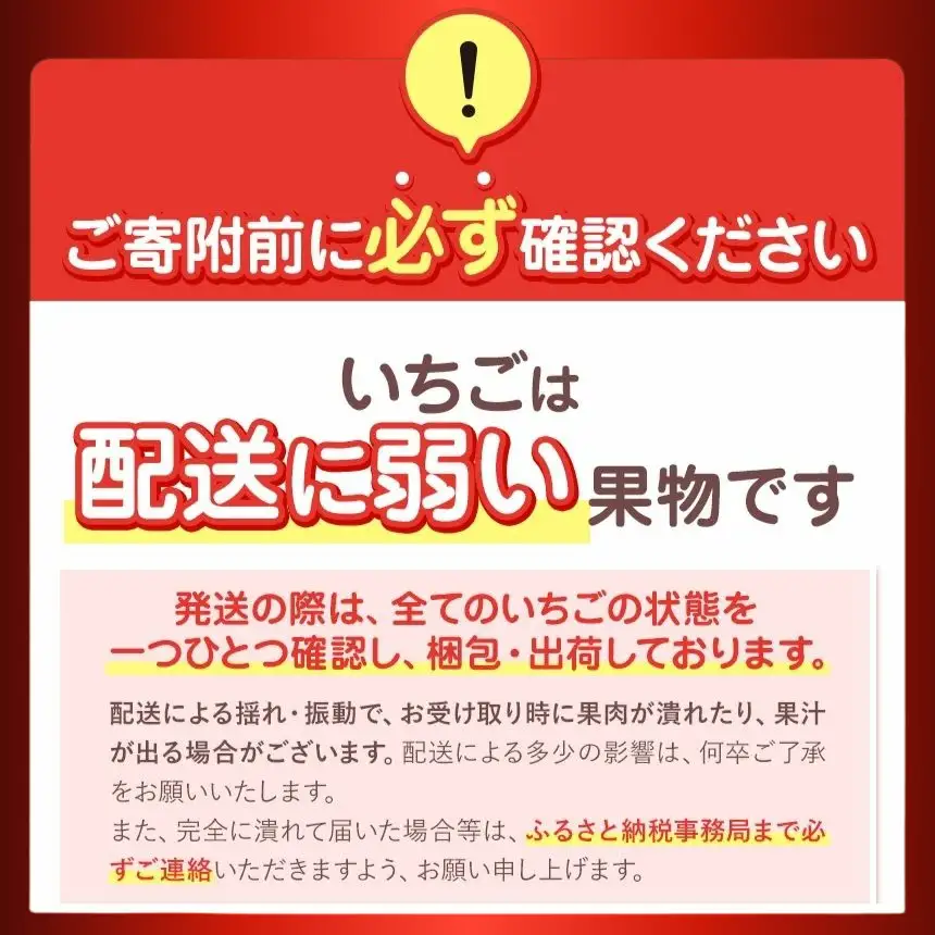 【栃木県共通返礼品】完熟とちあいか 極上大粒ギフト 1粒40g前後 贈答用24粒入