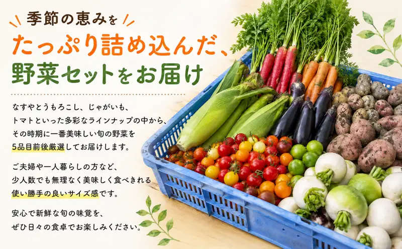 安芸野菜（全10種5品目前後）【野菜】CA002