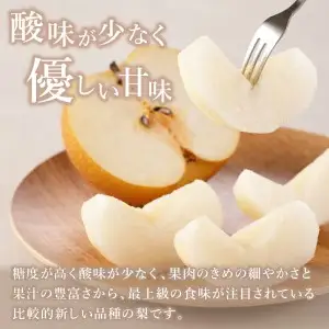 178-B1070 伊万里梨「あきづき」（2.5kg）
