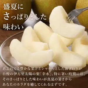 178-B159 伊万里梨「幸水」化粧箱入（2.5kg）