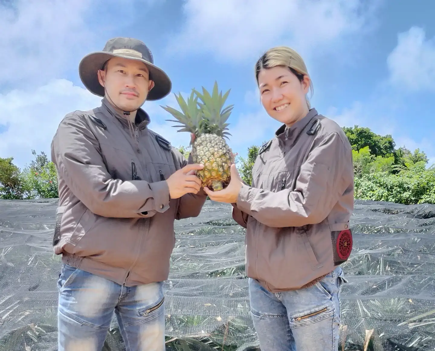 パイナップル ゴールドバレル 5～6玉 約9kg あいこ農園 
