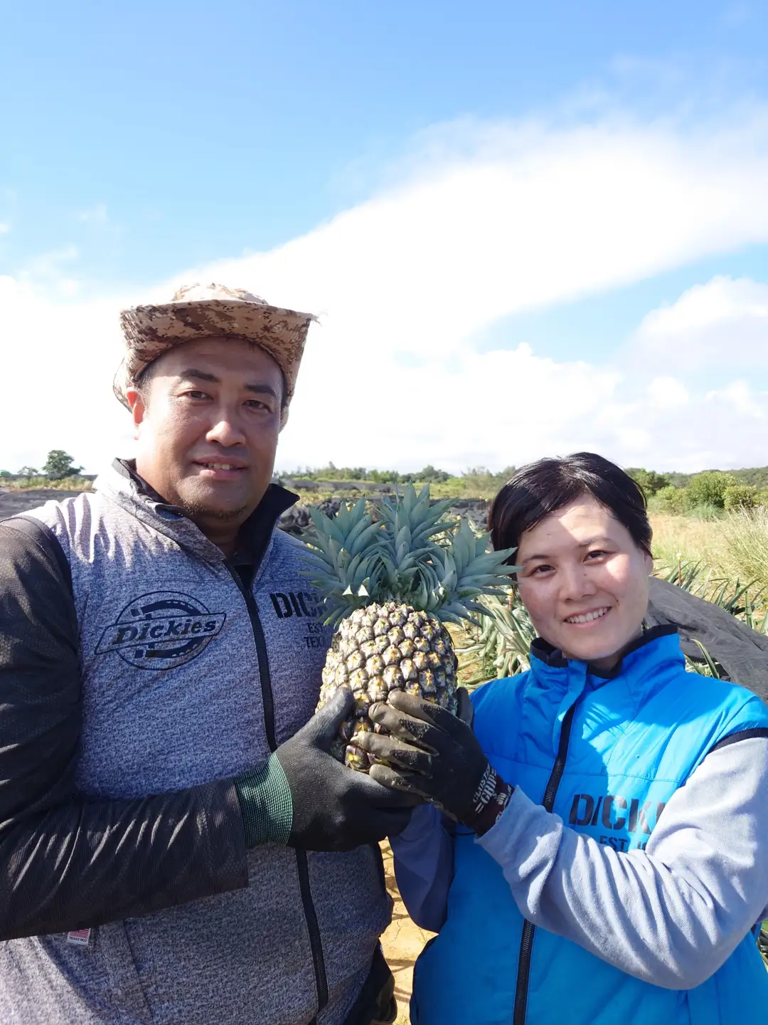 パイナップル やんばるゴールドバレル 1玉 約2㎏ しんざと果樹園