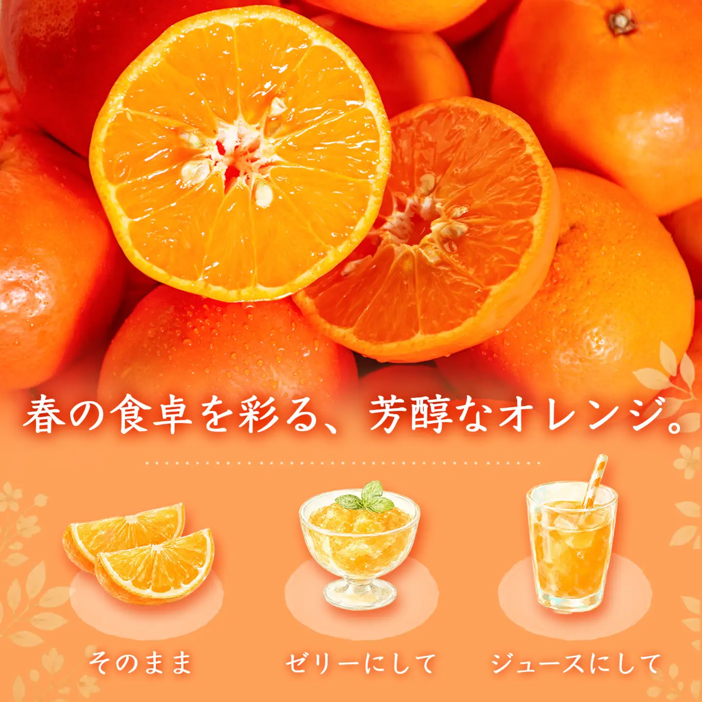 ［先行予約］［ご家庭用訳あり］ジューシー柑橘 セミノールオレンジ 5kg［UT150］
