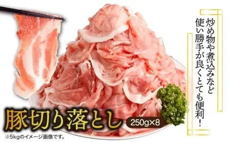 《2026年9月発送》豚肉切り落とし 250g×8パック 合計2kg_K033-021-2609