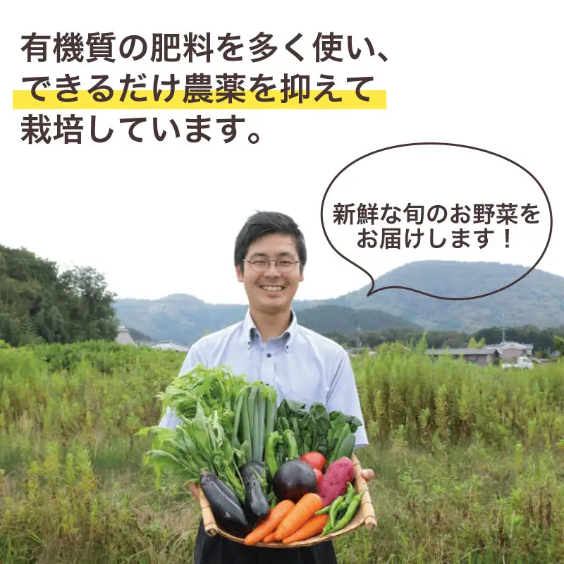 京野菜セット 7~10種 スペシャルコース 野菜セット 野菜詰め合わせ 京野菜