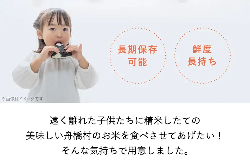 米 コシヒカリ 真空パック 精米 300g × 10袋