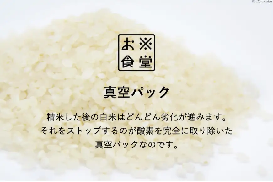 米 コシヒカリ 真空パック 精米 300g × 3袋