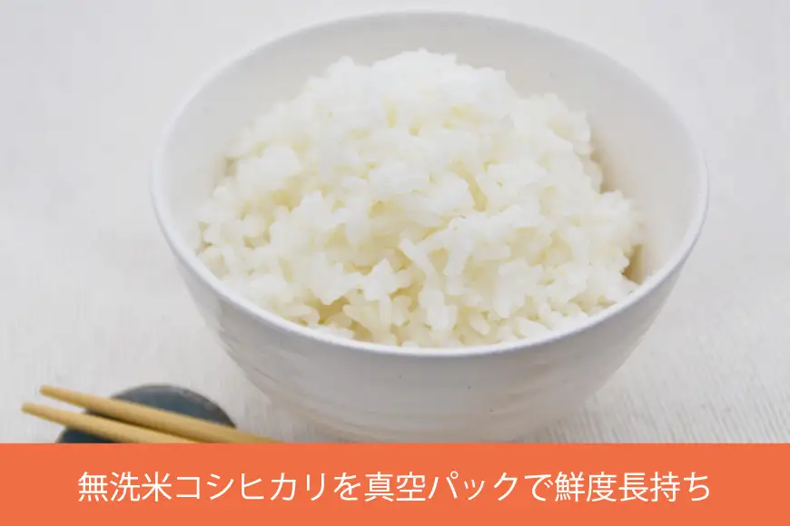 米 コシヒカリ 真空パック 無洗米 300g × 2袋